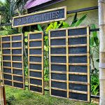 Planning activities for people in care