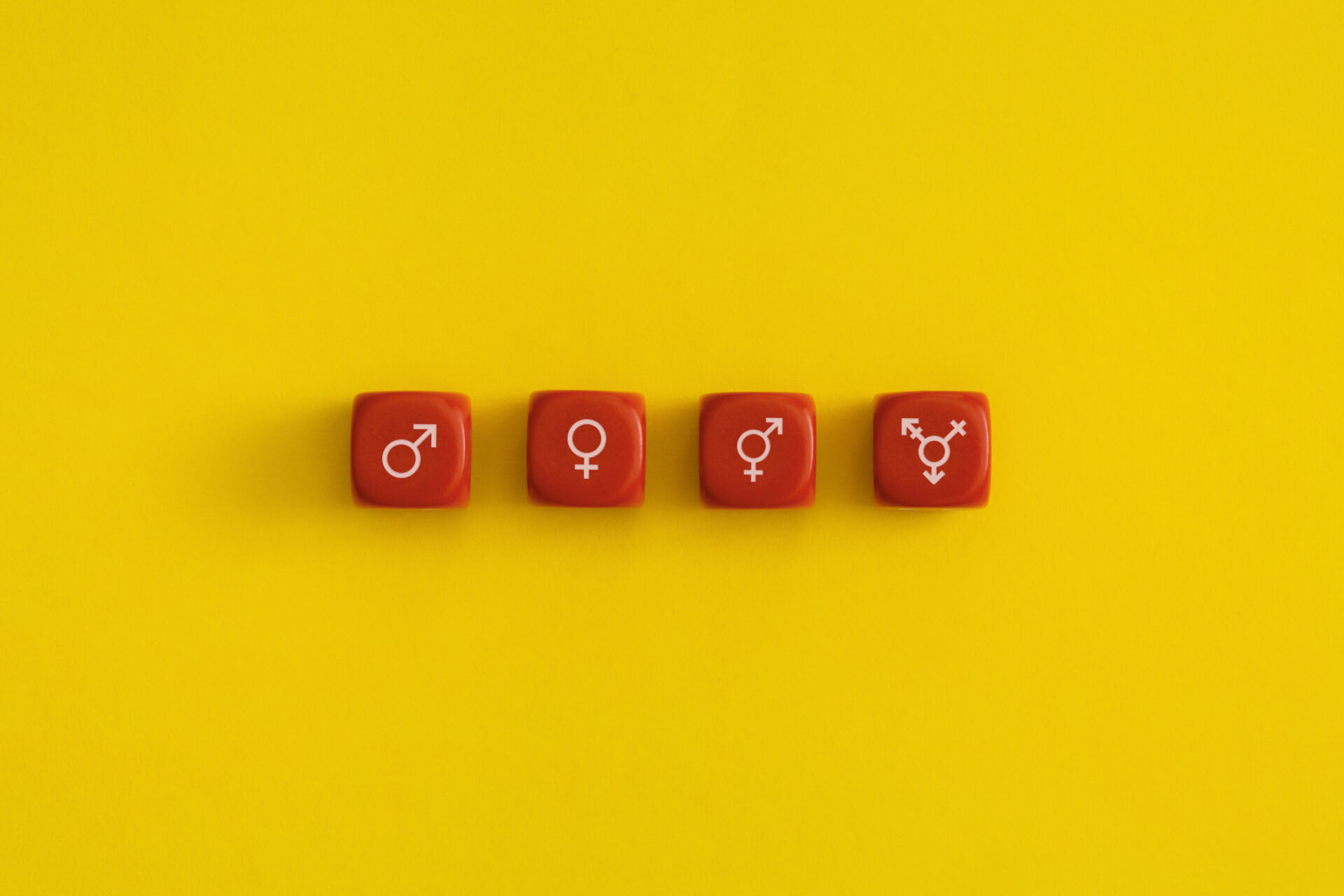 Gender and sexual identity on a red cubes